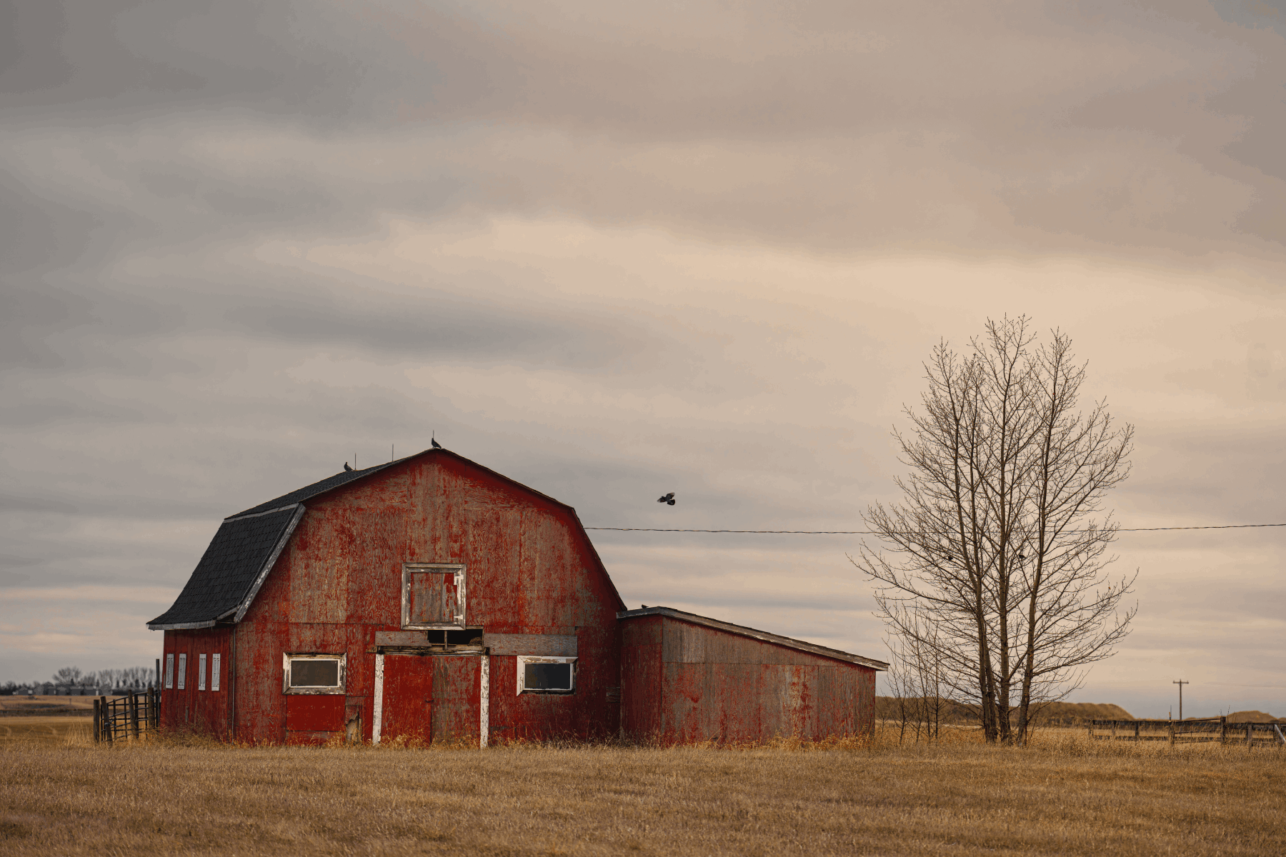 ronaldplett old barn 9594035